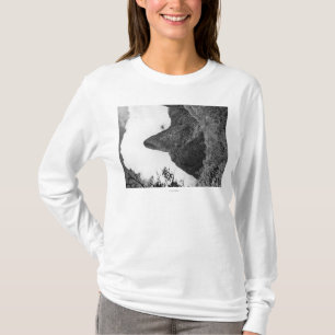 Maui, Hawaii - die Nadel von Iao Tal T-Shirt