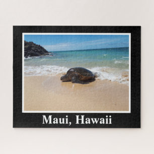 Maui Hawaii Meeresschildkröte Bild Foto Natur Ozea