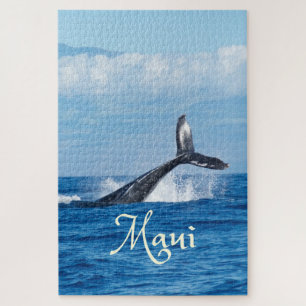 Maui Hawaii Ocean Whale Schwanz