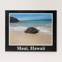 Maui Hawaii Sea Turtle Picture Image Natean