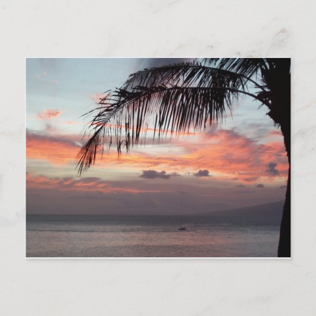 Maui Sunset Postcard Postkarte (Vorderseite)