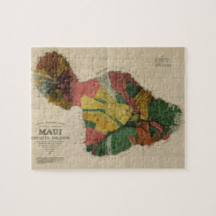 Maui - Vintage Antiquarian Hawaii-Vermessungskarte
