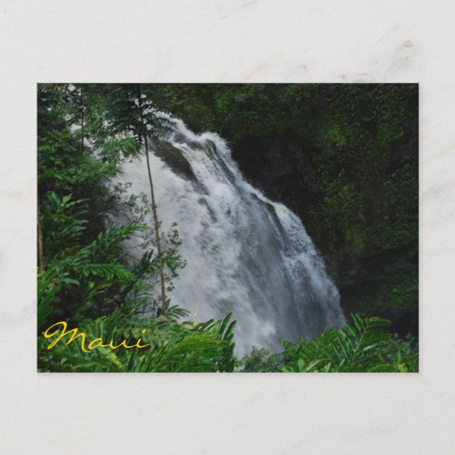 Maui Waterfall Postcard Postkarte (Vorderseite)