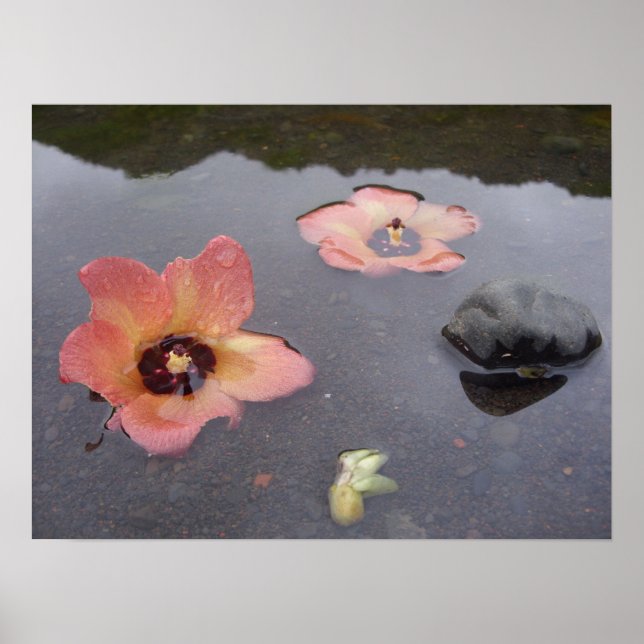 Maui Zen Poster (Vorne)