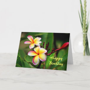 Mauiplumeria-Blumen, Geburtstag Karte