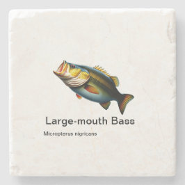 Maulbarsch auf Marmor Steinuntersetzer