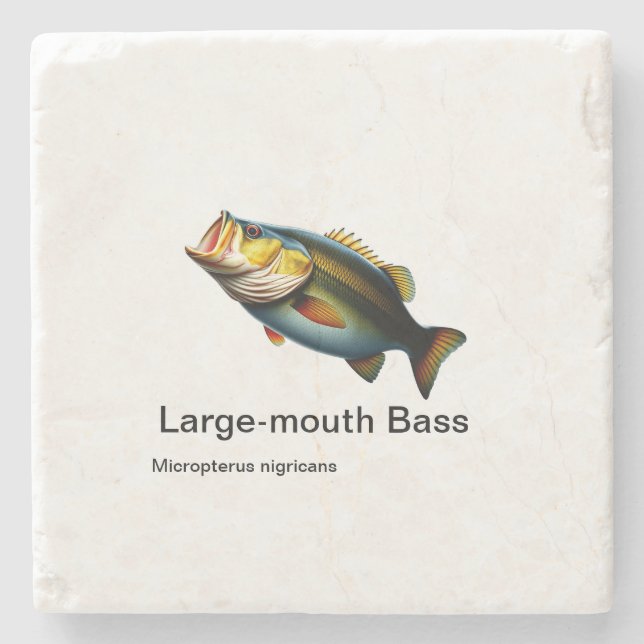 Maulbarsch auf Marmor Steinuntersetzer (Vorderseite)