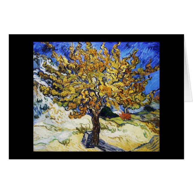 Maulbeerbaum (Vorderseite (Horizontal))