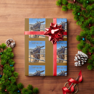 Maultier Esel Pferd so freundlich mit Stroh Geschenkpapier
