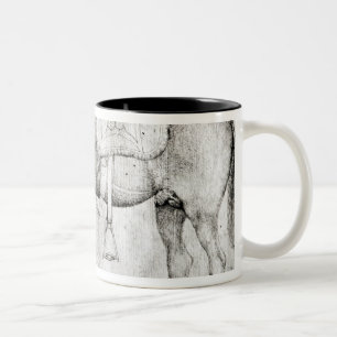 Maultier, vom Vallardi Album Zweifarbige Tasse