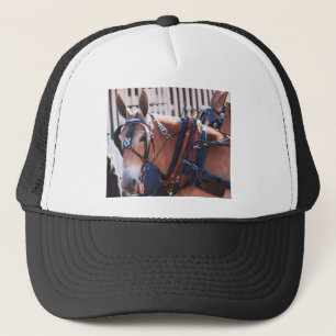 Maultiere und Esel 026 Truckerkappe
