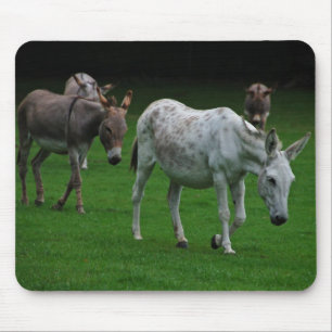 Maultiere und Esel Mousepad