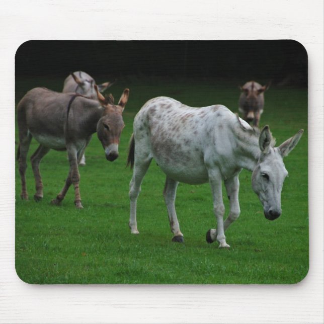 Maultiere und Esel Mousepad (Vorne)