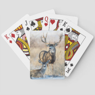 Maultierhirsch Bock und Hirschkuh Spielkarten