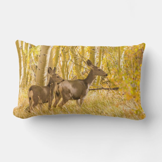Maultierhirsch-Damhirschkuh und Kitz in der Lendenkissen (Vorderseite)