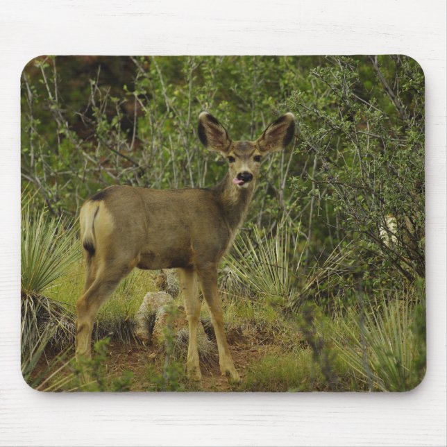 Maultierhirsch-Himbeermausunterlage Mousepad (Vorne)