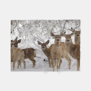 Maultierhirsch Wyoming Fleecedecke