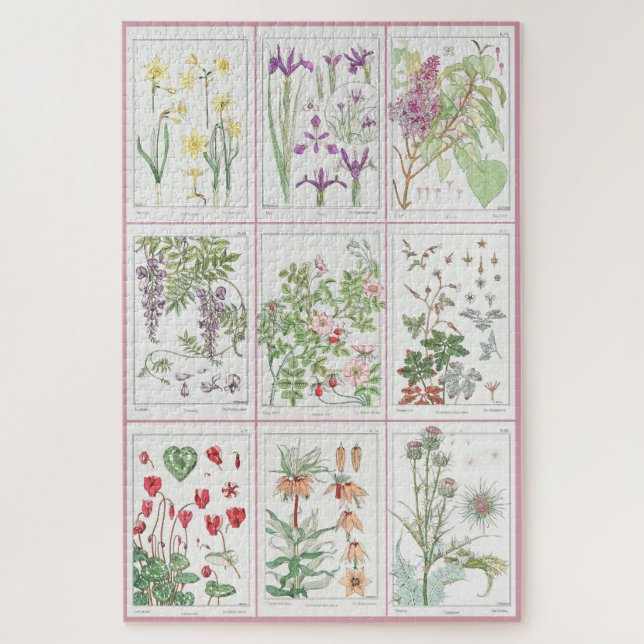 Maurice Pillard Verneuil Botanische Illustrationen (Vertikal)
