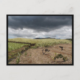 Mauritius / Maurice Postkarte