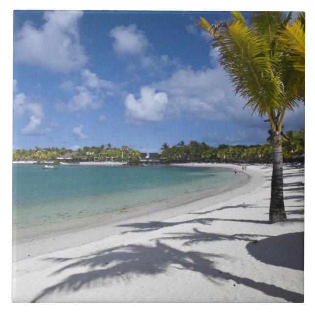 Mauritius, Mauritius, Trou d'Eau Douce, Fliese (Vorderseite)