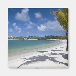 Mauritius, Mauritius, Trou d'Eau Douce, Magnet