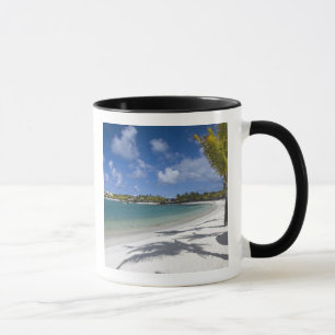 Mauritius, Mauritius, Trou d'Eau Douce, Tasse