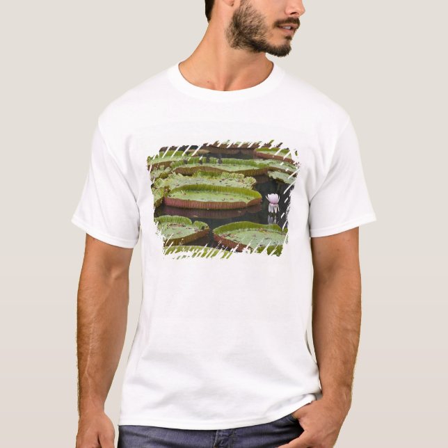 Mauritius, Pamplemousse, SSR Botanical T-Shirt (Vorderseite)