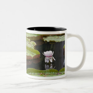 Mauritius, Pamplemousse, SSR Botanical Zweifarbige Tasse