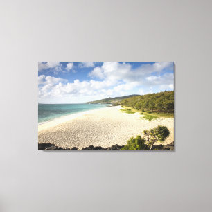Mauritius, Rodrigues-Insel, St. Francois, St. Leinwanddruck