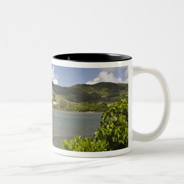Mauritius, Südmauritius, Grand Sable, Zweifarbige Tasse (Rechts)