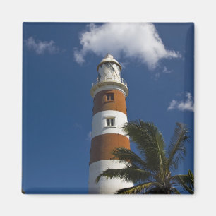 Mauritius, Westmauritius, Belle Vue, Albion Magnet