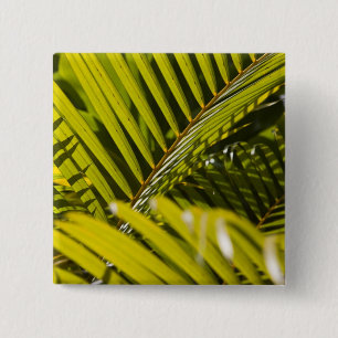 Mauritius, Zentral-Mauritius, Moka, Palme Button