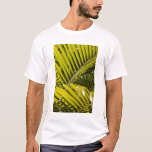 Mauritius, Zentral-Mauritius, Moka, Palme T-Shirt