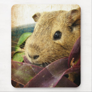 Maus die Guinea Pig Mousepad