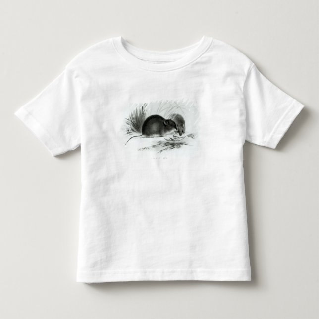 Maus, Feuerland, Südamerika c.1832-36 Kleinkind T-shirt (Vorderseite)