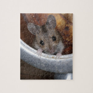 Maus in einer Teekanne