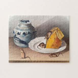 Maus (Mus-musculus) Illustration