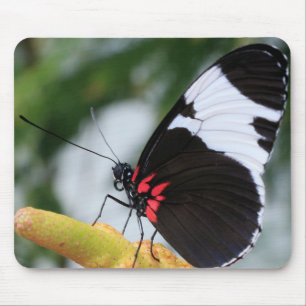 Maus Pad/Doris Langschwinger-Schmetterling Mousepad