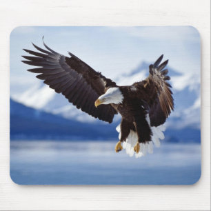 Maus Pad-Eagle Mousepad