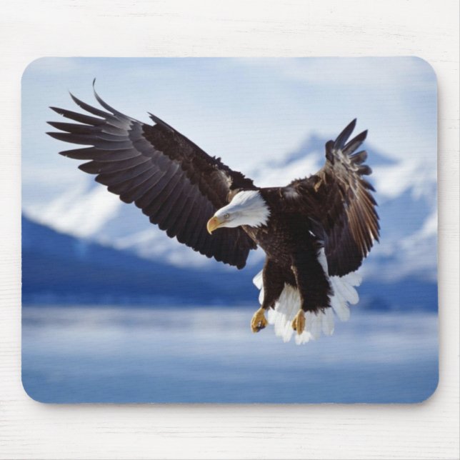 Maus Pad-Eagle Mousepad (Vorne)