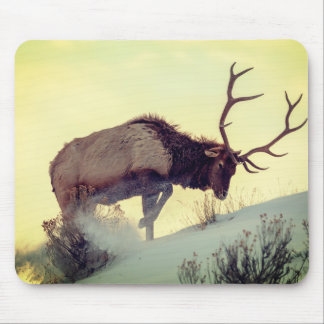 Maus-Pad Hirsche extra grandios, volle Geschwindig Mousepad