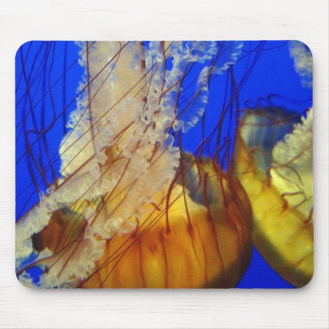 Maus Pad - Quallen Mousepad (Vorne)