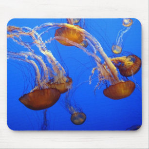 Maus Pad - Quallen Mousepad