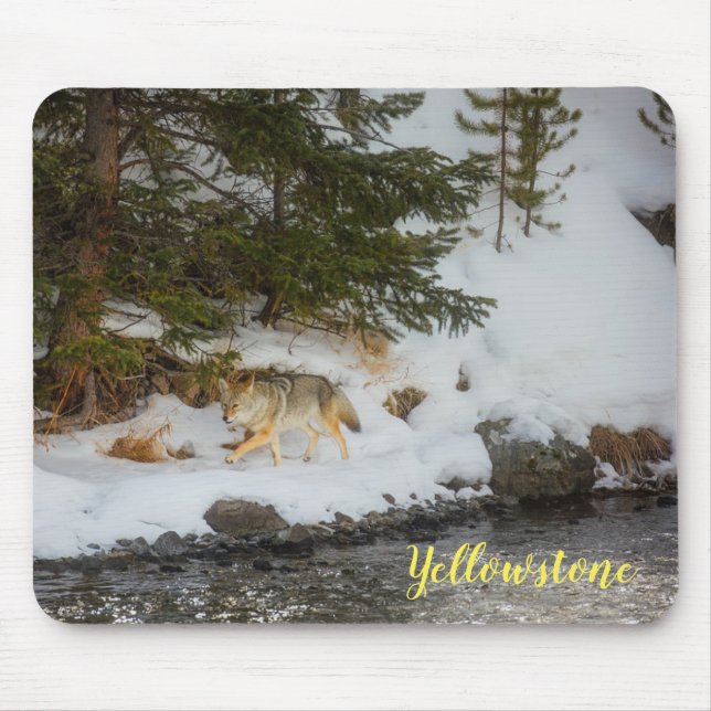 Maus Pad-Yellowstone-Coyote Mousepad (Vorne)