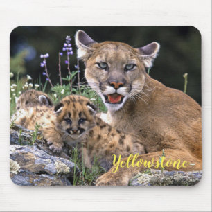 Maus Pad-Yellowstone-Löwe Mousepad