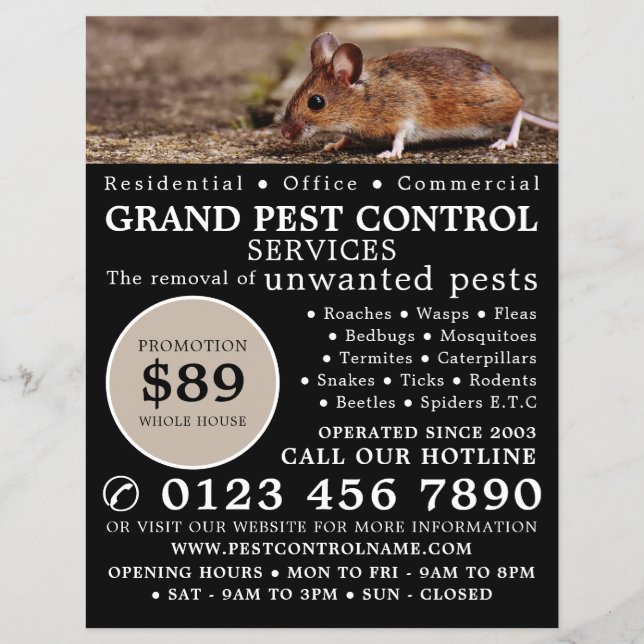 Maus, Pest Kontrolle Werbung Flyer (Vorne)