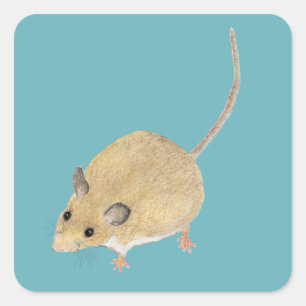 Maus Quadratischer Aufkleber