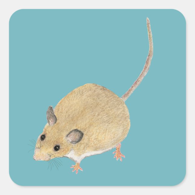 Maus Quadratischer Aufkleber (Vorderseite)