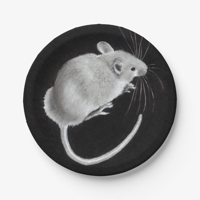 Maus: Realistisches Bleistift-Zeichnen: Maus auf Pappteller (Vorderseite)