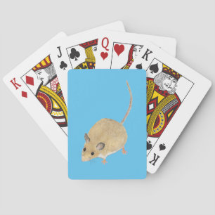 Maus Spielkarten